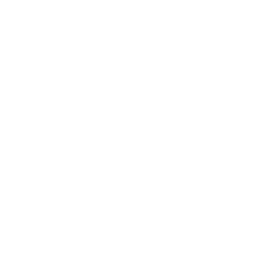 Aussizz Group