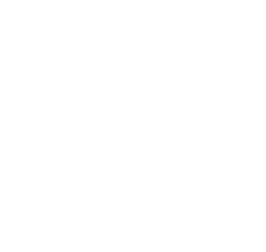 ICM Cargo